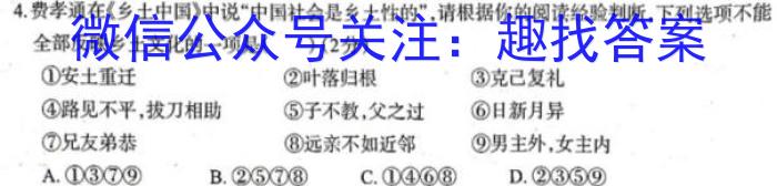 2023年河北省新高考模拟卷（二）语文