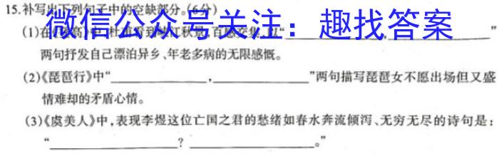 四川省成都市石室中学2023届高三年级二诊模拟考试语文