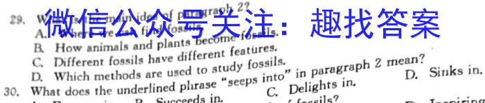 2023广西梧州市二模高三3月联考英语