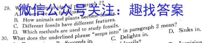 2023年陕西省初中学业水平考试全真模拟（三）英语