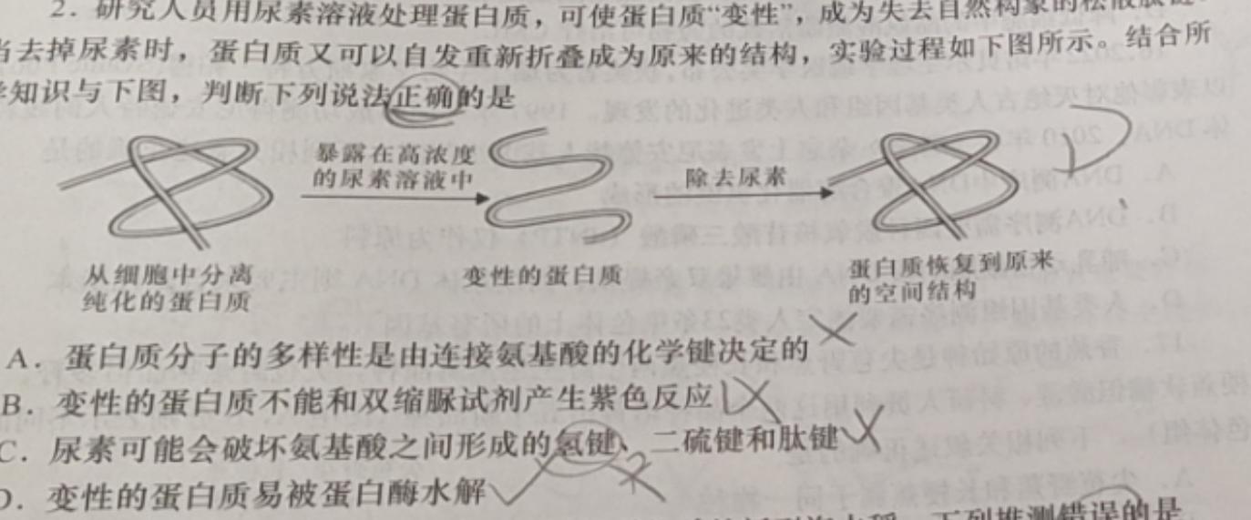 ［承德一模］启光教育2023年河北省承德市高三年级第一次模拟考试生物