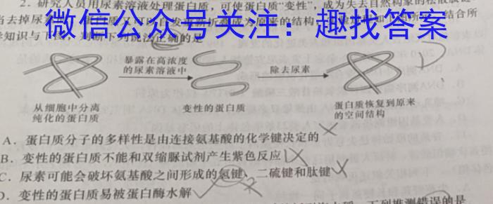 江西省2022-2023学年度九年级阶段性练*（六）生物试卷答案