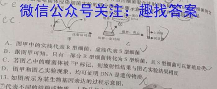 安徽省2023届第二学期九年级作业辅导练习生物