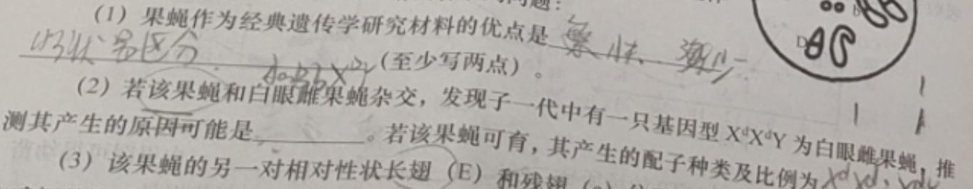 2023年商洛市第一次高考模拟检测试卷(23-347C)生物