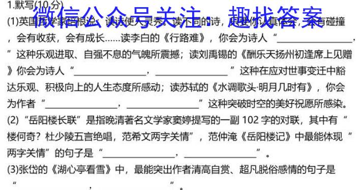 2023年河南省普通高中毕业班高考适应性测试语文