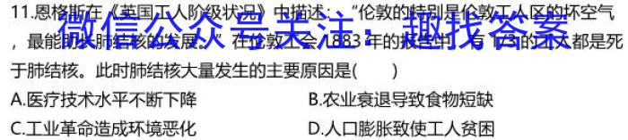 山西省2023年度初中学业水平考试模拟（摸底卷）历史