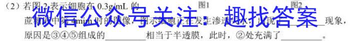 陕西省2022-2023学年度八年级开学学情检测（Y）生物