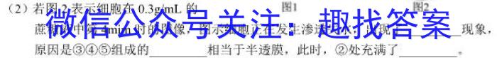 江西省2023年最新中考模拟训练（二）JX生物