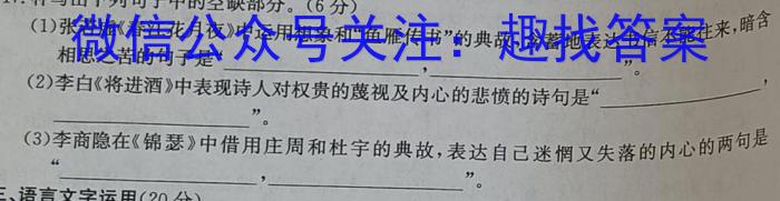 凤庆县2022-2023学年上学期九年级期末阶段性教学水平诊断监测(23-CZ70c)语文