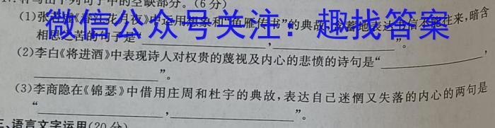 2022-2023学年安徽省九年级下学期阶段性质量监测语文