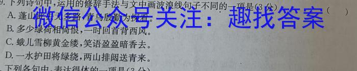 佩佩教育·2023年普通高校统一招生考试 湖南四大名校名师团队模拟冲刺卷(2)语文