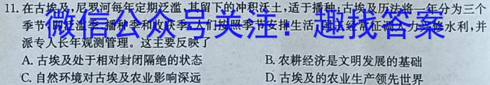 安徽省2024届八年级下学期第一次教学质量检测历史