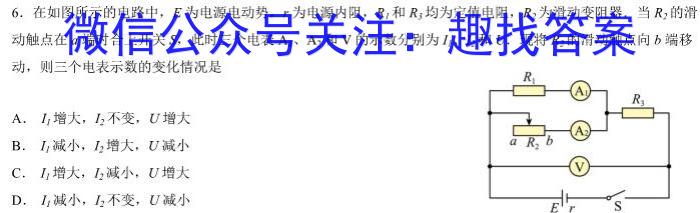 四川省成都市石室中学2023届高三年级二诊模拟考试.物理