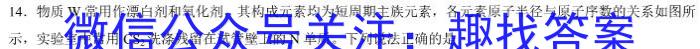 山西省2023年中考导向预测信息试卷（一）化学