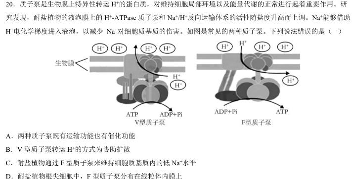 非凡吉创•2023届TOP20创新联盟大联考高三3月联考生物
