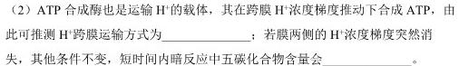 ［齐齐哈尔一模］齐齐哈尔市2023届高三第模拟考试生物