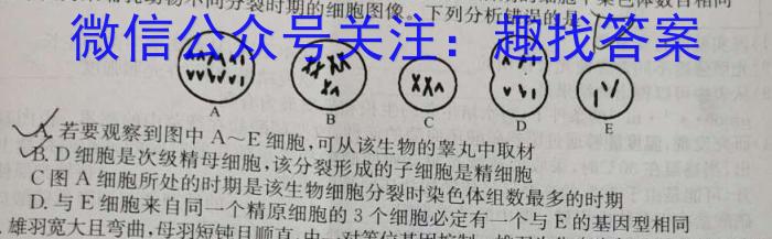 2023年河南省五市高三第一次联考(3月)生物