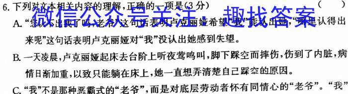 衡水金卷2022-2023学年度上学期高二五调考试(新教材·月考卷)语文