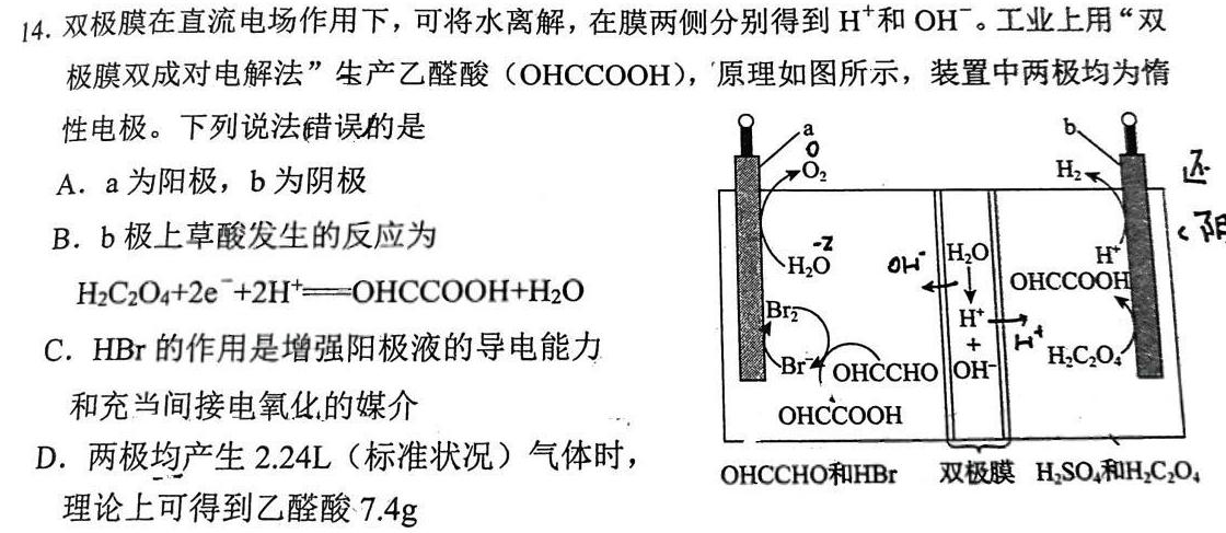 2022-2023湖北省高二3月联考(23-346B)化学