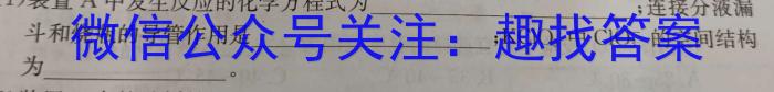 2023年陕西省初中学业水平考试·全真模拟卷（二）A版化学