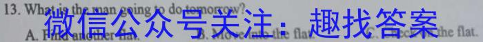 安徽省2024-2023学年九年级下学期双减作业调研考试英语