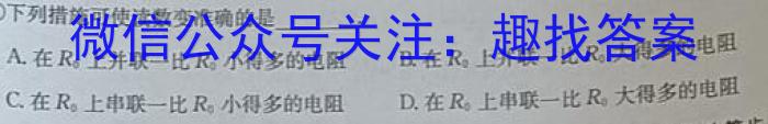 河北省2023届九年级结课质量评估（23-CZ136c）l物理