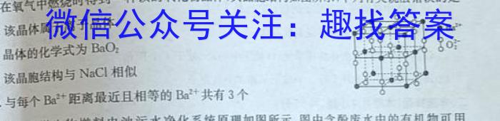 天一大联考·2023届高考冲刺押题卷（四）化学