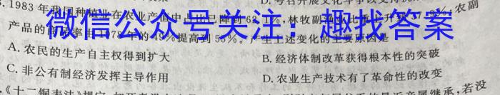 2023届名校之约·中考导向总复习模拟样卷(四)4历史