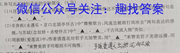 2023届洛阳许昌平顶山济源四市高三第三次质检语文