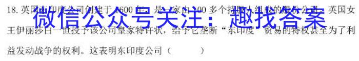 锦育教育·皖城联盟2024-2023学年九年级第一次联考（一模）历史