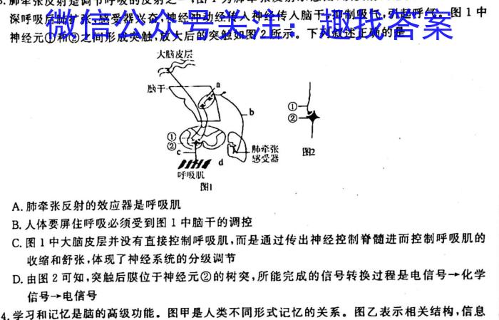 江西省九江市2023年高考综合训练卷(二)2生物试卷答案