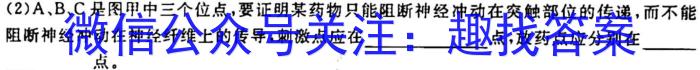 2023年普通高等学校招生全国统一考试·冲刺押题卷(新高考)(六)生物