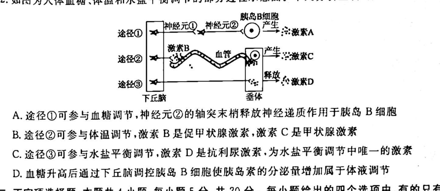 NT2023届普通高等学校招生全国统一考试模拟试卷(二)(全国卷)生物