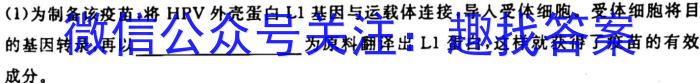 ［衡阳二模］2023年衡阳市高三年级第二次模拟考试生物