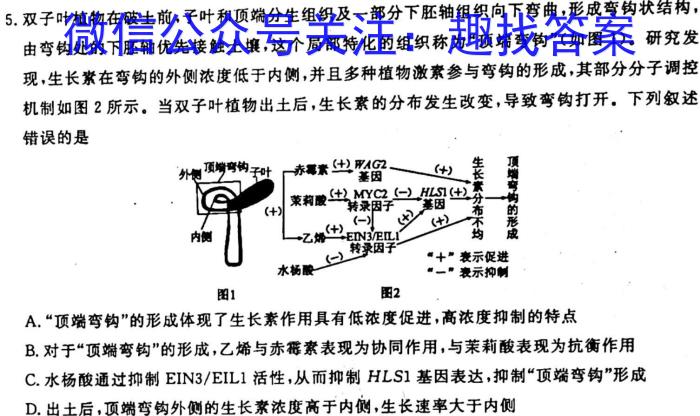 智慧上进2022-2023学年高三年级二轮复习阶段性检测生物