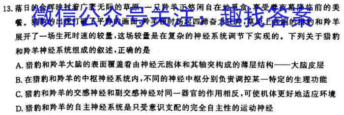 河南省普通高中毕业班高考适应性试生物