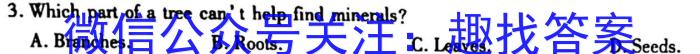 河北省2022-2023学年高一下学期3月联考(23-335A)英语