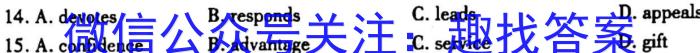 安徽省2023届九年级第一学期期末学业发展水平检测英语