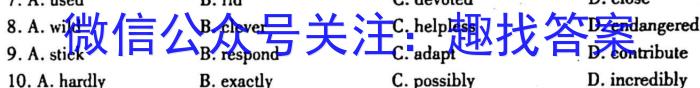 2023年河北高二年级3月联考（23-335B）英语