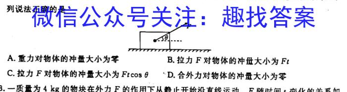 河北省2024-2023学年第二学期高二年级3月份月考(232470Z)q物理