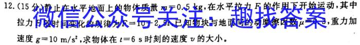 河南高一天一大联考2022-2023学年(下)基础年级阶段性测试(三)物理`