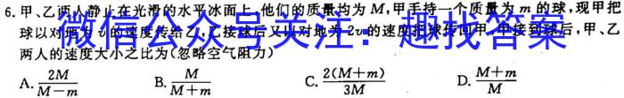 2023届广东联考高三年级2月联考（23-319C）l物理