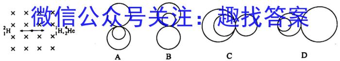 江西省名校联盟2023届九年级下学期3月联考f物理