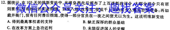 2023湖南高二3月联考历史