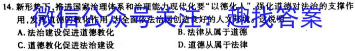 2023年普通高等学校招生全国统一考试金卷仿真密卷(十)10 23新高考·JJ·FZMJ历史