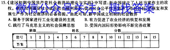 安徽省九年级2022-2023学年新课标闯关卷（十六）AH历史