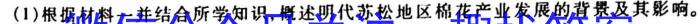 凤庆县2022-2023学年上学期九年级期末阶段性教学水平诊断监测(23-CZ70c)历史