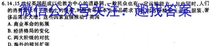 2023年安徽省中考学业水平检测（A）历史