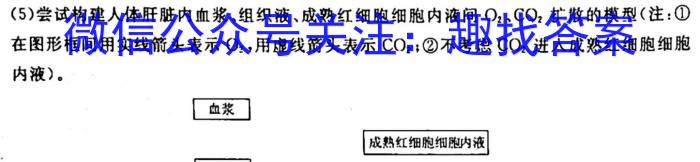 长郡、雅礼、一中、附中联合编审名校卷2023届高三月考试卷七7(全国卷)生物