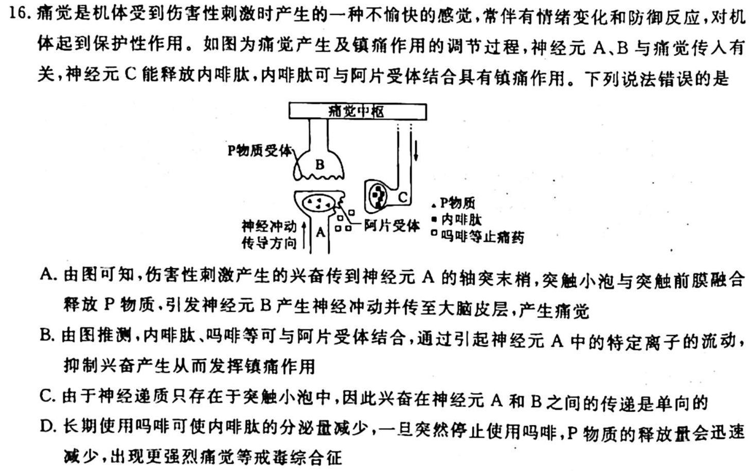 023普通高等学校招生全国统一考试·冲刺预测卷QG(五)5生物试题及答案"